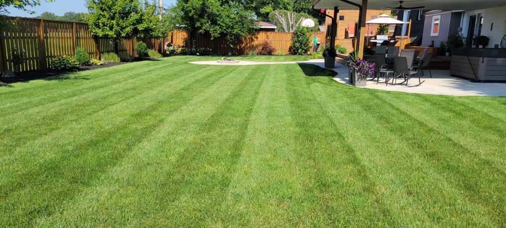 lawn care LaSalle